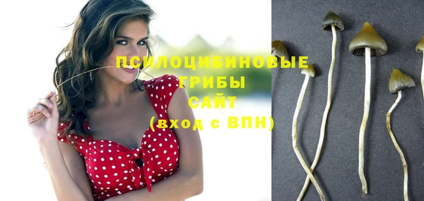 меф Гусев